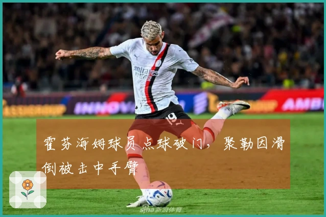 霍芬海姆球员点球破门，聚勒因滑倒被击中手臂