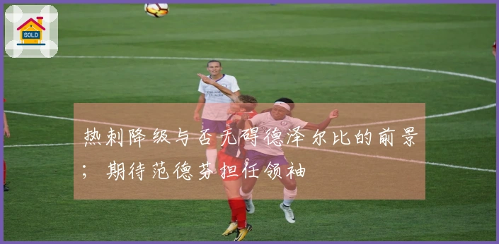 热刺降级与否无碍德泽尔比的前景；期待范德芬担任领袖