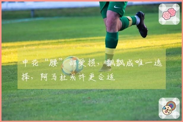 申花“腰”部受损，飘飘成唯一选择，阿马杜或许更合适