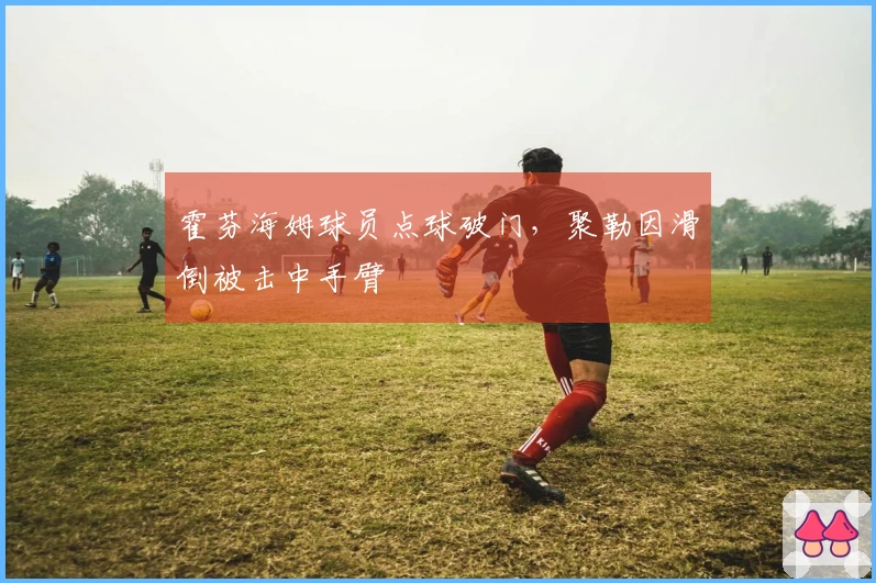 霍芬海姆球员点球破门，聚勒因滑倒被击中手臂