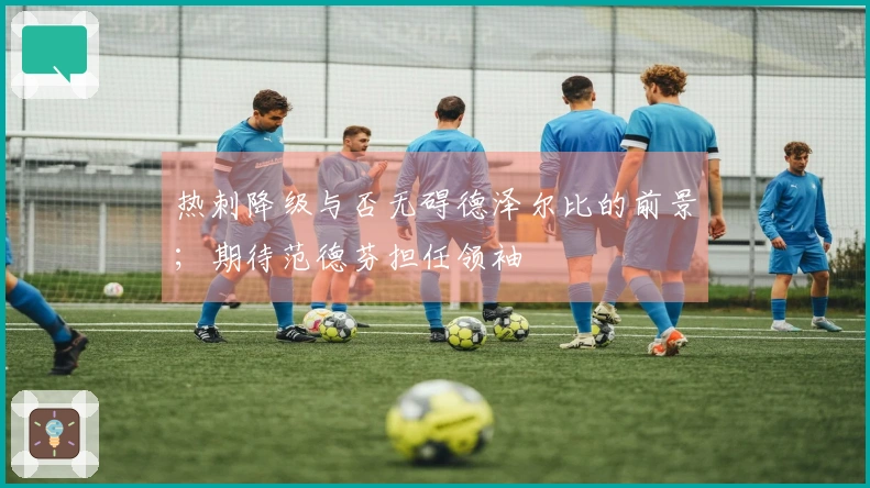 热刺降级与否无碍德泽尔比的前景；期待范德芬担任领袖